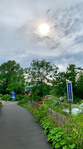 Exploring Nature's Beauty in London