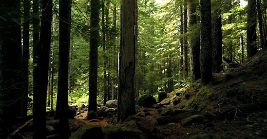 Video by Ruvim Miksanskiy on Pexels