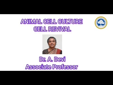 Cell revival |Dr.Devi |Genetic Engineering |SRMIST