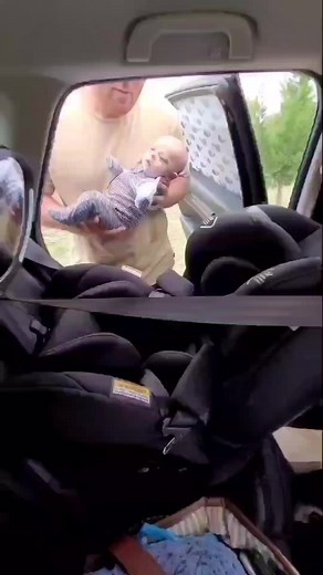 Buckle Up Car Seat on TikTok