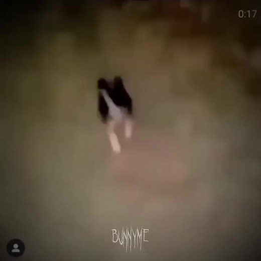 Anteater Defense Mechanism: Understanding the Almighty Push