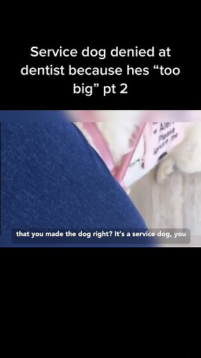 Pt 1 is up. Credit: unknown #servicedog#sdit#servicedogintraining#Bye2020#disabled#harrassment#fyp