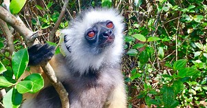 52 Places to Go: Madagascar