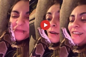 Viral Video: Girl Cuddles and Kisses Pet Snake, His Reaction is Too Cute. WATCH