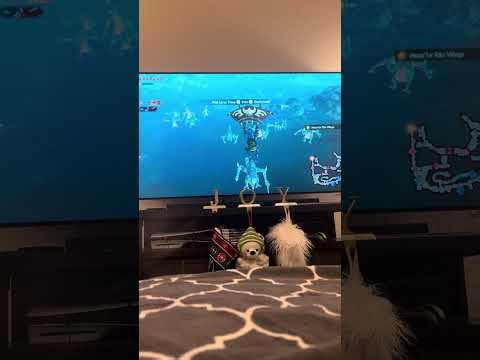 Hyrule warriors PT 5 )Revali the Rito warrior)