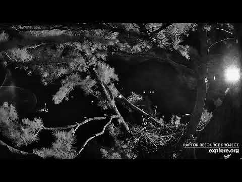 Trempealeau Eagles Live Stream