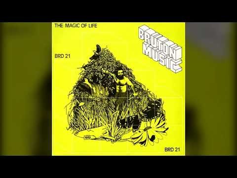 Flower Sequence 1 – Johnny Pearson (BRD 21, The Magic of Life)