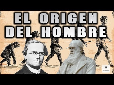 ✅The ORIGIN OF MAN: Scientific and Religious Vision (Darwin, Lamarck, Mendel, Christianity and Is...