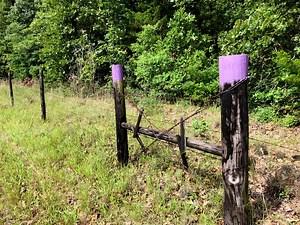 What do Purple Markings on Fenceposts in Texas mean? - East Texas Land - Rural Acreage For Sale