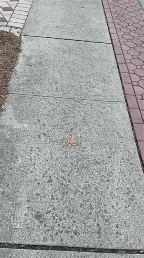 Its a JERSEY thing! 💯😂 #nj #dispensary #viral | NJ Activities