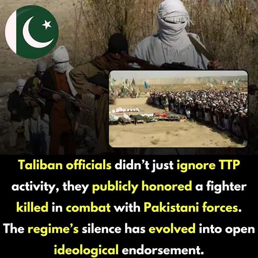 Kabul’s Dangerous Drift: Taliban Officials Openly Glorify TTP Militants in Anti-Pakistan Ceremony #kabul #taliban #ttp #anti #newsupdate #trending #fypage #pakistan | Khacha Khach