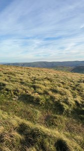 Great Mell Fell with furry friends | Max Out in the Lake District