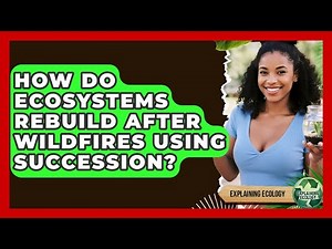 How Do Ecosystems Rebuild After Wildfires Using Succession? - Explaining Ecology