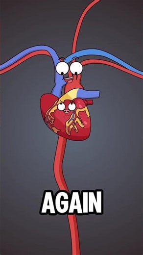 Heart Failure to Heart Replace?! 😱❤️ Funny Cartoon Explains Life-Saving Surgery | Medical Animation