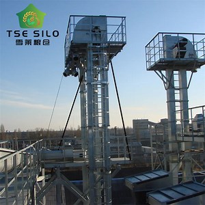 [Hot Item] Soybean Grain Vertical Conveying Bucket Elevator for Farms