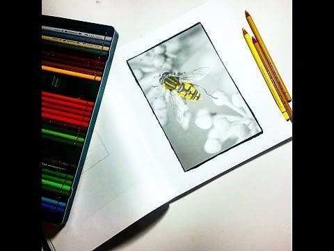 GRAYSCALE Coloring Book | Process