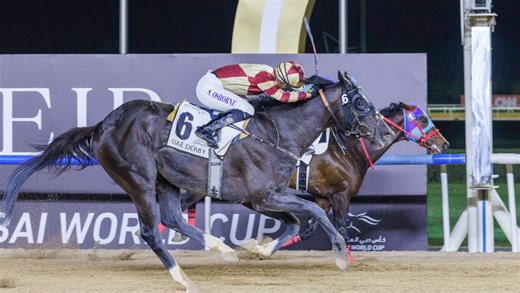 Heart of Honor trainer, jockey, owner and more to know about 2025 Preakness horse