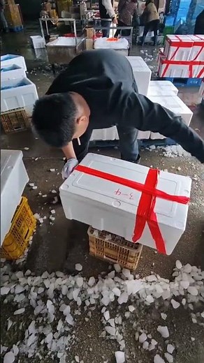 Seafood Packing Process – Fast Styrofoam Box Sealing for Fresh Fish Transportation