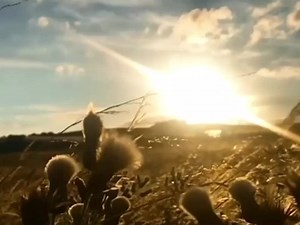 75K views · 3.3K reactions | "Sometimes two people have to fall apart to realize how much they need to fall back together." ------- A Song by Randy VanWarmer "Just When I Needed You Most" Pls. https://youtube.com/user/ncdollar | MyPlayLists | Facebook