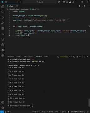conditional loop vs fixed loops