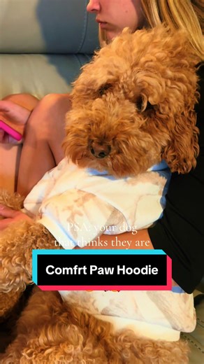 Comfrt Paw Hoodie for Dogs: Camo Style for Your Pup