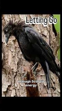 Scorpio & Pluto #astrology #Scorpio #Pluto #zodiac #horoscope