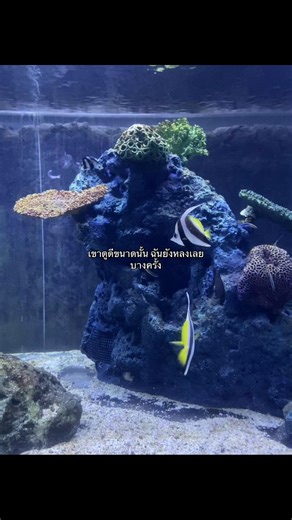 คนของแกน่ารักขนาดนั้น ใครจะไปสู้#ฟีดดดシ #เธรด #fyp #เธอ #เพลง