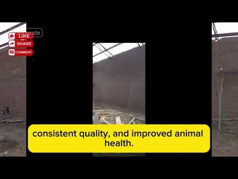 From Vision to Reality: Our Feed Mill Project Begins