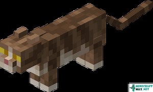 Cat | How to craft cat in Minecraft | Minecraft Wiki