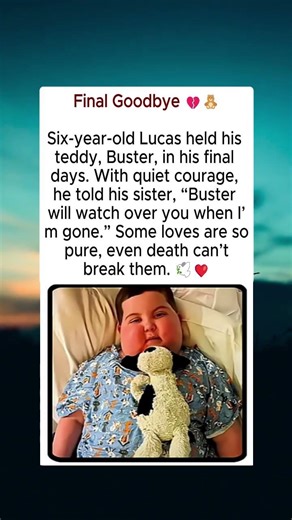 🔴A Little Hero Says Goodbye – Lucas and His Bear Buster 🧸💔