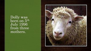 How Dolly Sheep Was Cloned? | Cloning | Scientific | By DailyDot