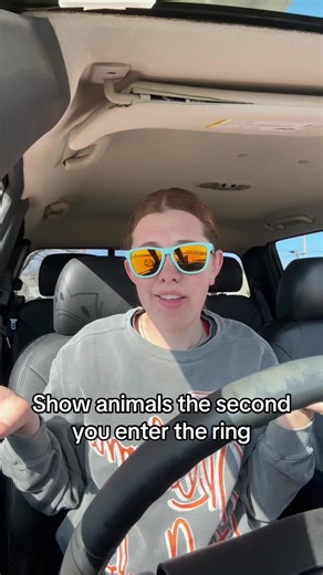 Understanding Show Animals and Their Behavior in the Ring