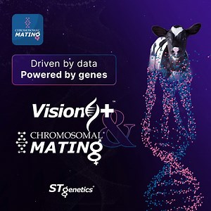 Driven by Data. Powered by genes! Following genomic testing with Vision ™, STgenetics releases the genomic data combined by our Chromosomal Mating® program! Chromosomal Mating® is the best formula for: ⦿ Harnessing the accuracy of genomic testing ⦿ Maximizing genetic gains and progeny potential ⦿ Determining and quantifying inbreeding depression ⦿ Strategic use of gender-sorted semen and crossbreeding candidates Combining genomic results from Vision ™ genomic testing with the most advanced matin