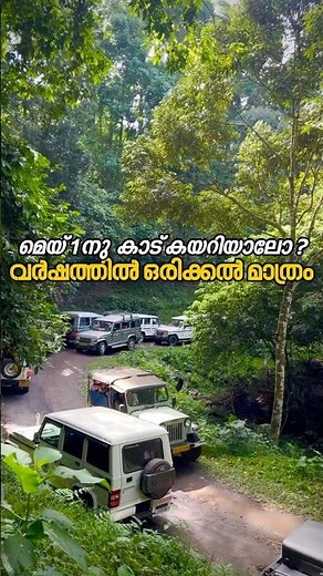 The forest that can only be climbed once a year #mangaladevi #mangaladevitrek #trekking