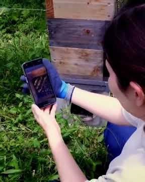 How to produce natural organic honey #natural #organichoney #PureHoney #HoneyHarvest #RealHoney