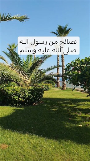 Prophetic Advice from the Messenger of Allah (PBUH) #supplications #religiousclips #hadith #bless...