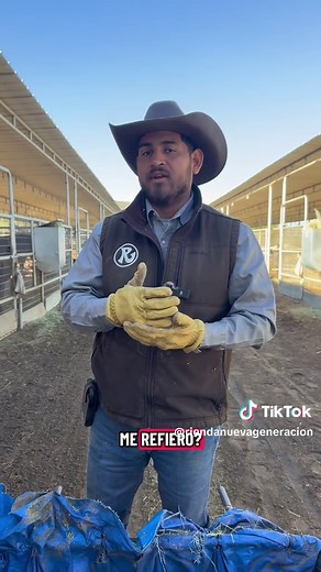 Cómo alimentar a tu caballo correctamente