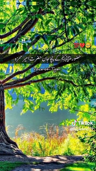 The Life of Prophet Muhammad (PBUH) - An Insightful Overview