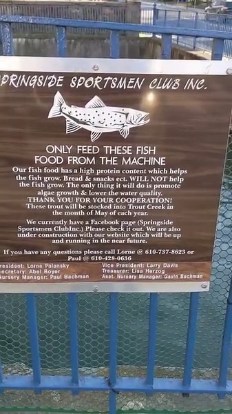 Slatington is a unique place and has several cool historic features. This may be the United States’ oldest water reservoir which was connected to what was likely the first iteration of a modern water system- wood pipes. Now this fascinating site is a trout nursery- with several species of trout raised. | Photos of Lehigh Valley