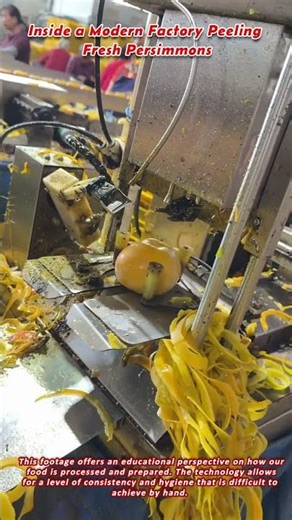 Inside a Modern Factory Peeling Fresh Persimmons