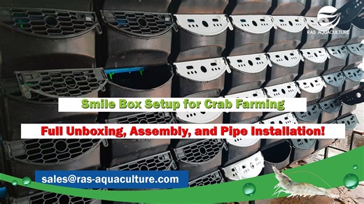 5K views · 49 reactions | The Smile Box system is a smart solution...