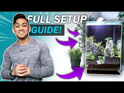 How to Setup the MARINELAND 5 GALLON PORTRAIT Aquarium Tank for Betta Fish | Full Guide/Tutorial