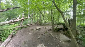 The day started off cloudy but turned into blue sky’s and lots of sunshine!☀️ out exploring and playing was Maple, Gator, Radar, Quint, Joey, Rocco, Freedom, Freddy, June, Ruby, Rocket, Daisy, Sadie and Van!☀️⛰️曆 | Active Dog LLC | Facebook