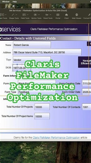 Claris FileMaker Performance Optimization
