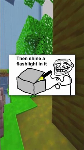 Dumbest Flashlight Prank Ever 😭