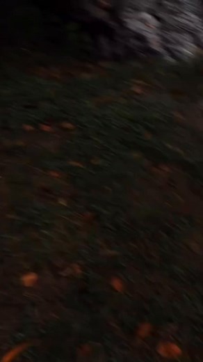 Calmness 🌿🍃 | Serenity