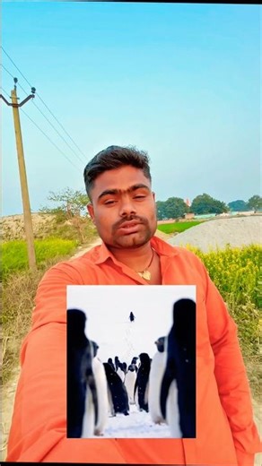 The Most Bizarre Conspiracy Theories About January 29th, 2026