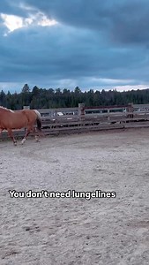 323 reactions · 45 comments | We don’t need lungelines, tieins or...