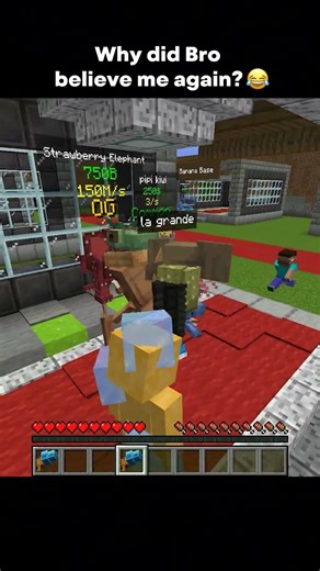 Why did Bro believe me again? #minecraft #stealabrainrot #brainrot