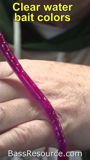 The Only Lure Colors You Actually Need #LureColors #FishingTips #BassLures